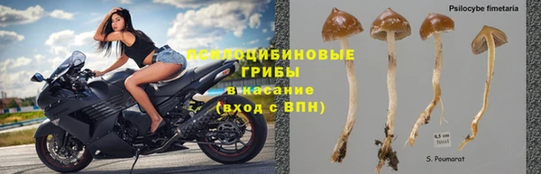 таблы Дмитриев