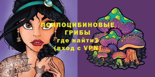 таблы Дмитриев
