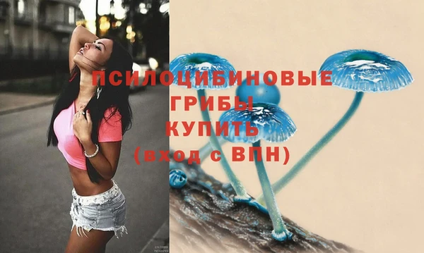трава Дмитров