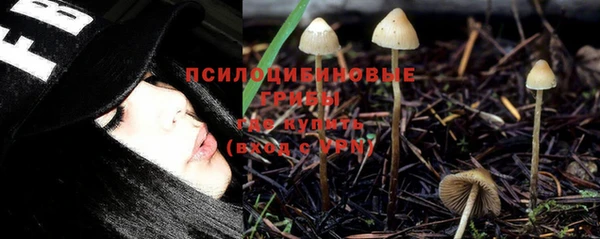 трава Дмитров