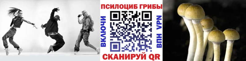 Псилоцибиновые грибы Cubensis  Купить где  Кологрив 