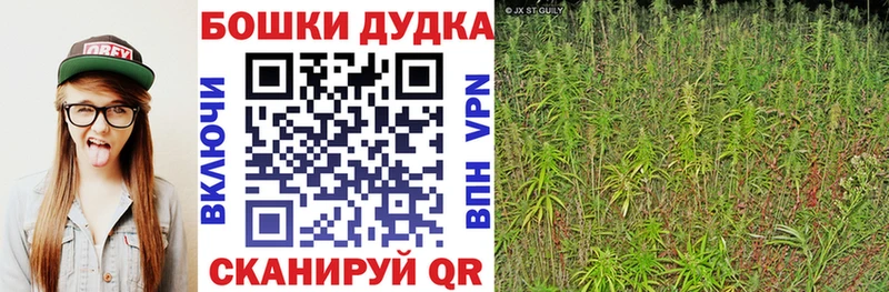 Купить где  Кологрив  Бошки Шишки семена 